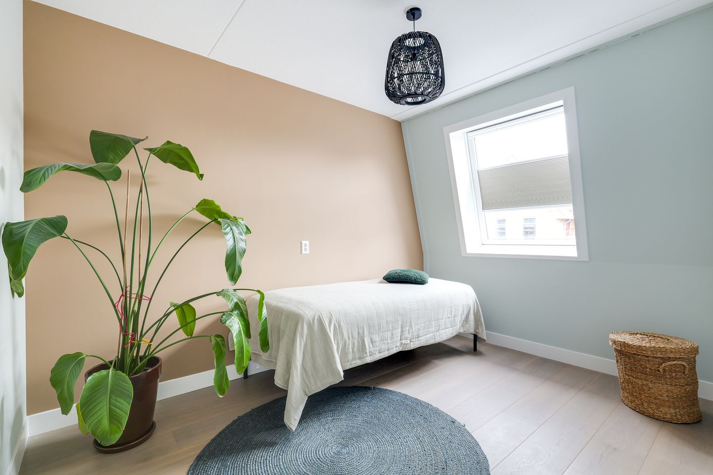 Foto 34 van Weijland 5