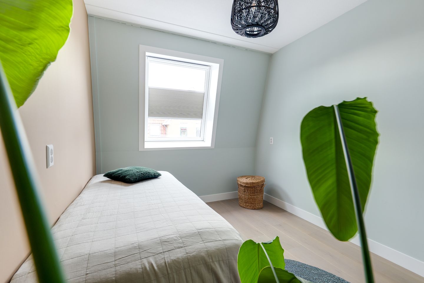 Foto 35 van Weijland 5