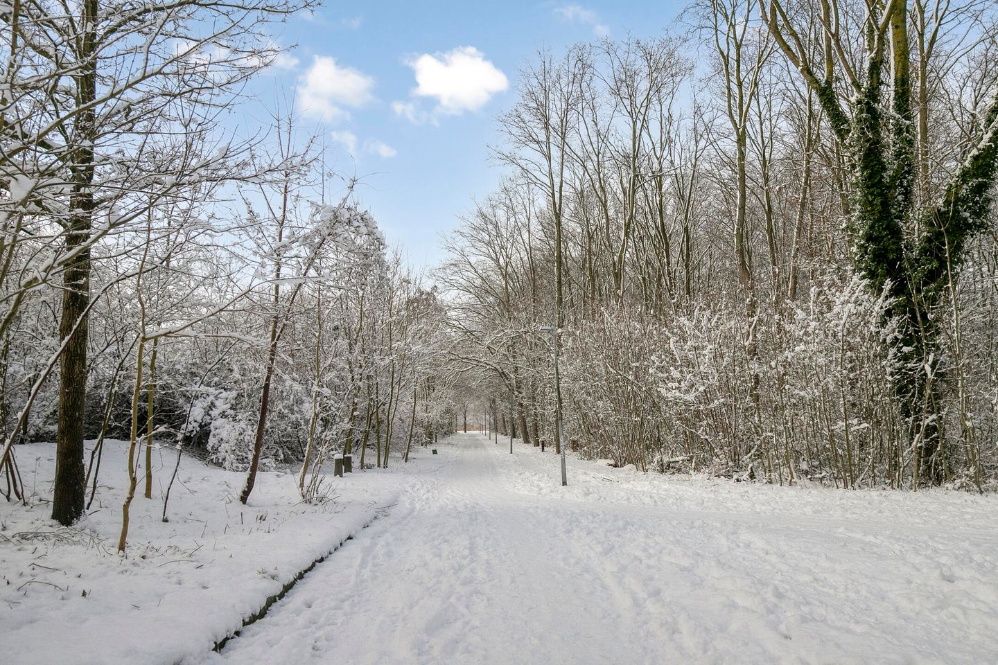 Foto 29 van Gouverneurstraat 21