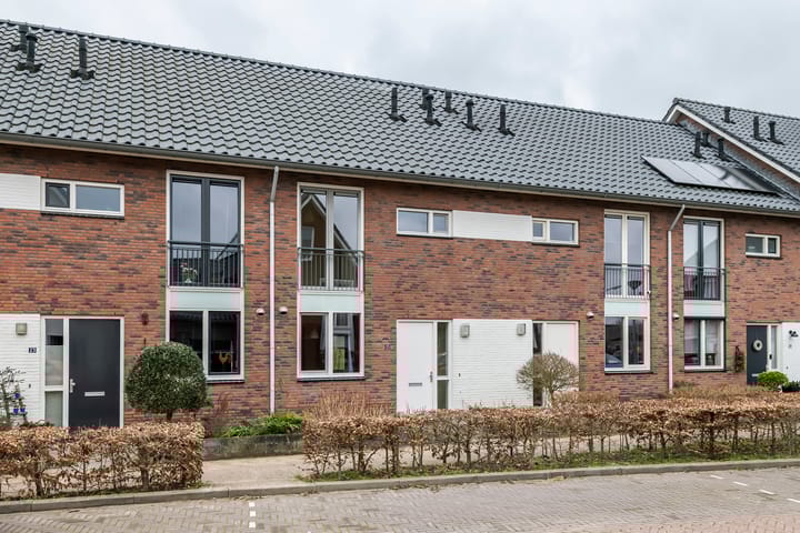 Kwartel 25 main image