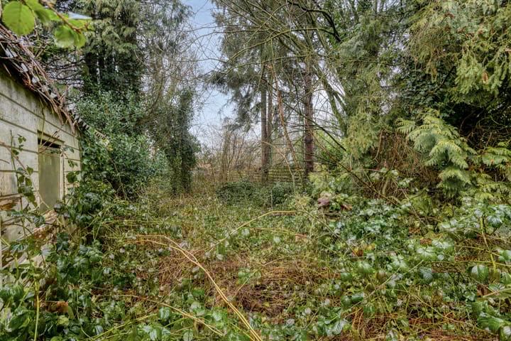 Foto 10 van Boijlerweg 94