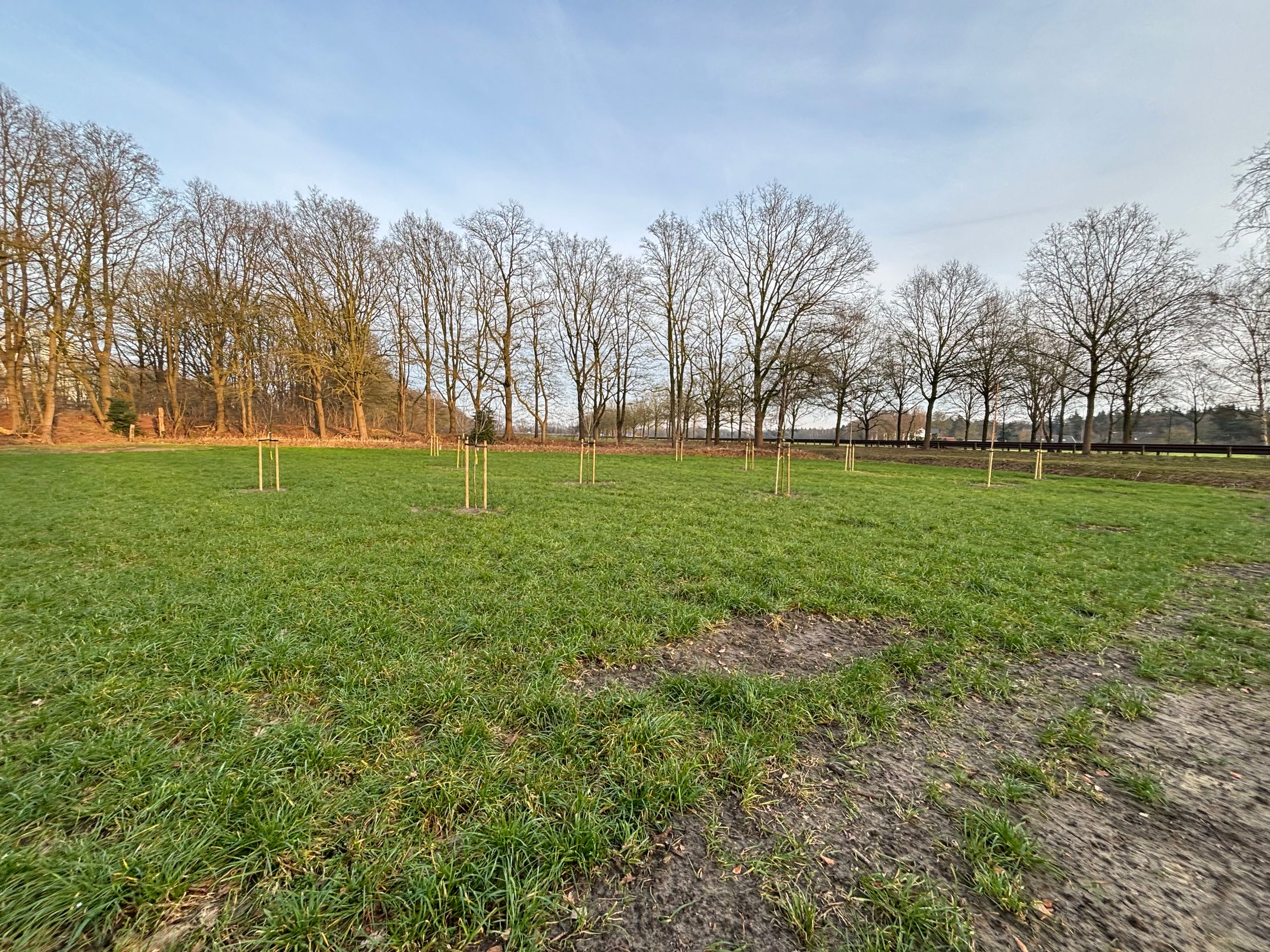 Photo 3 of Lange Dreven 3