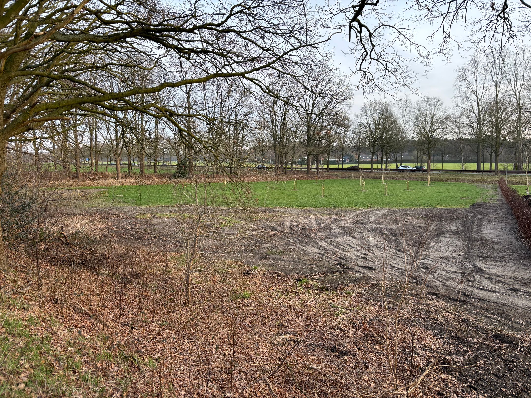Photo 9 of Lange Dreven 3