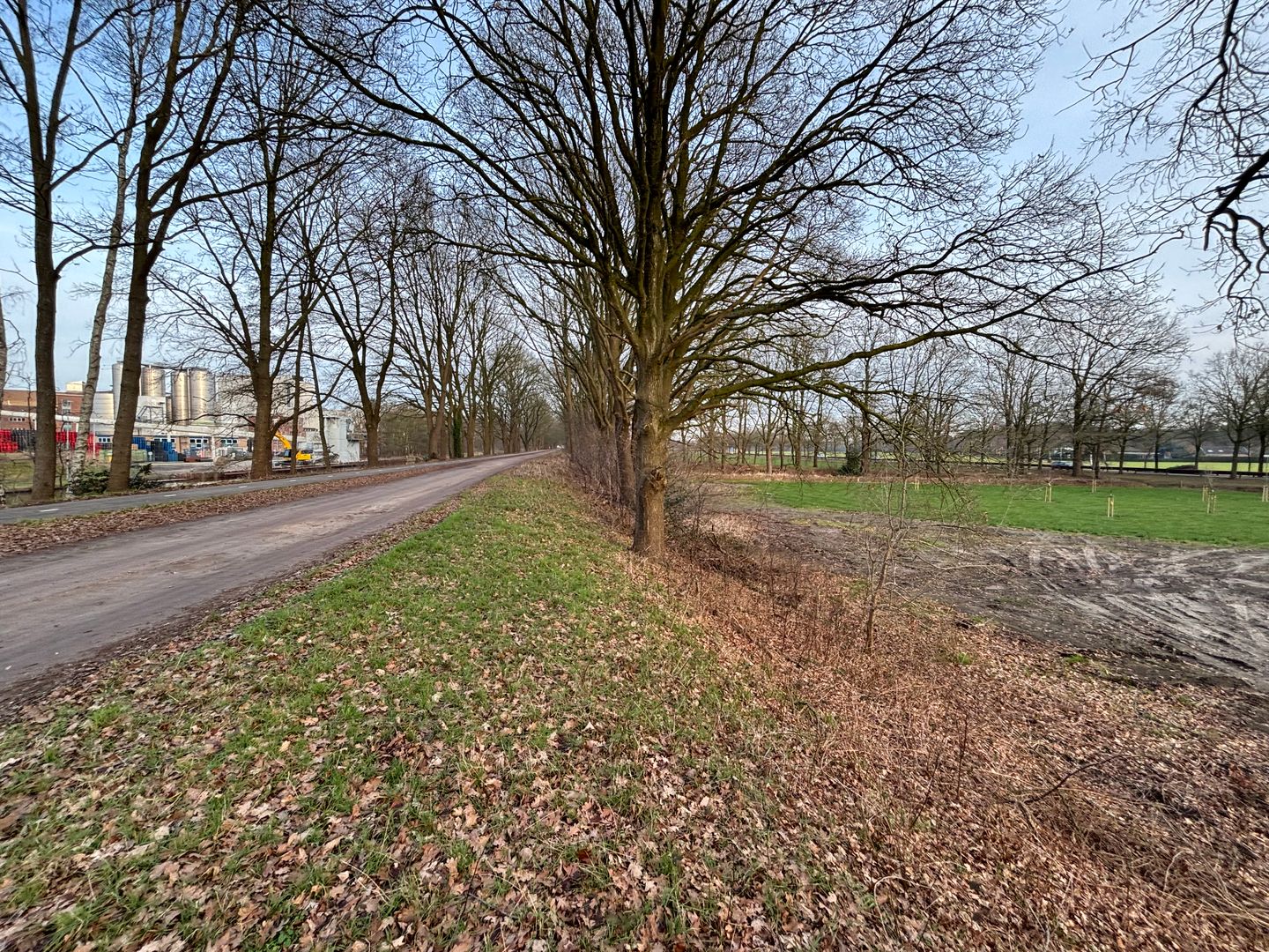 Photo 10 of Lange Dreven 3