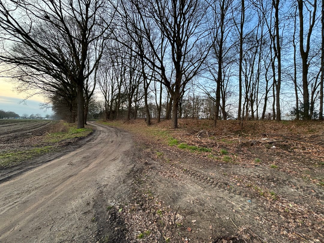 Photo 13 of Lange Dreven 3