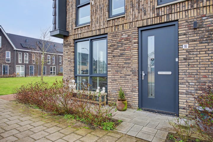 Foto 6 van Zeewolf 16