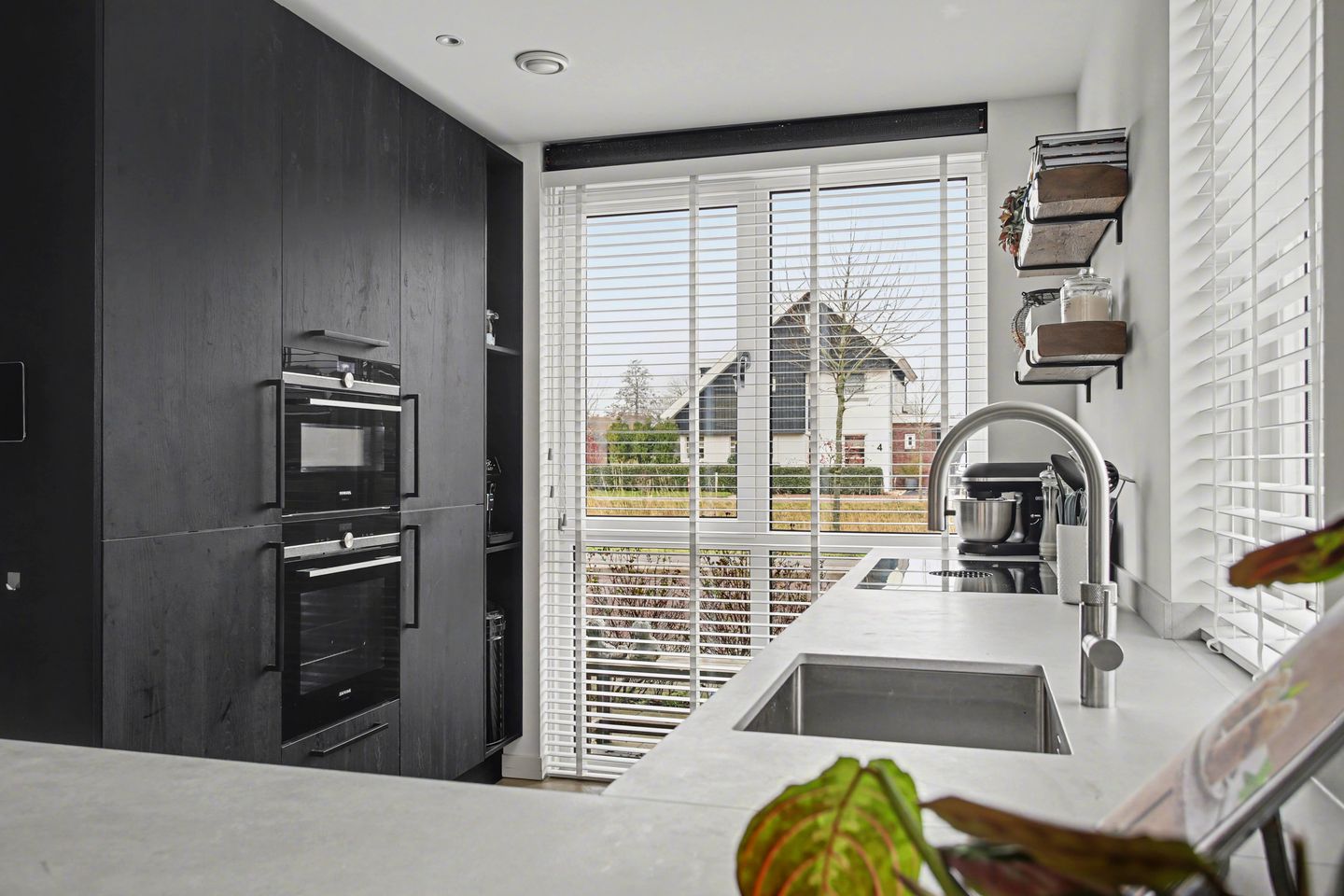 Photo 10 of Zeewolf 16