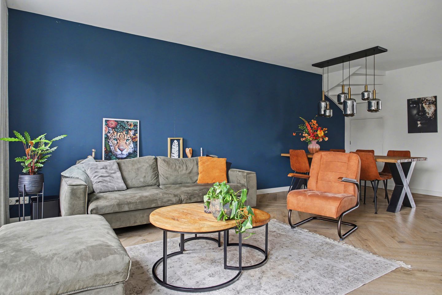 Photo 14 of Zeewolf 16