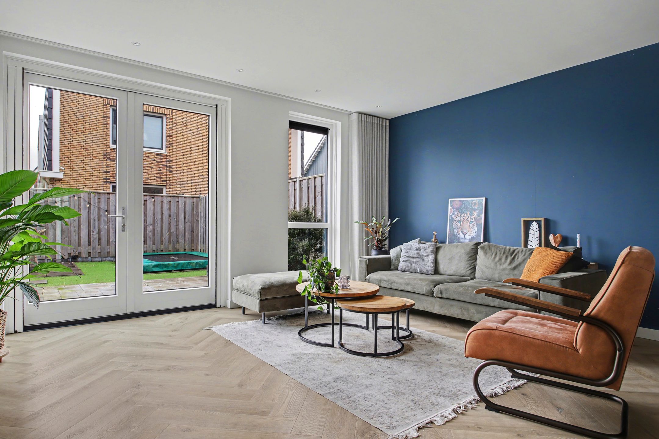 Photo 15 of Zeewolf 16