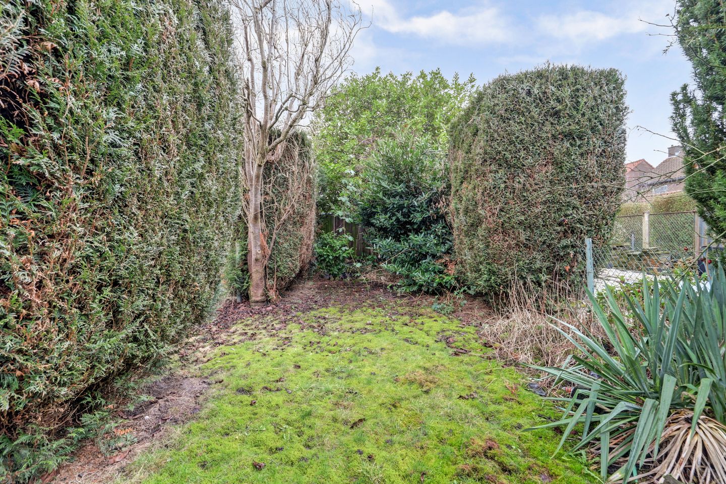 Foto 29 van Hogestraat 107