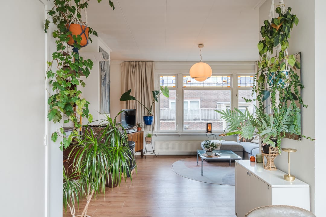 Foto 17 van Sonmansstraat 113-B02