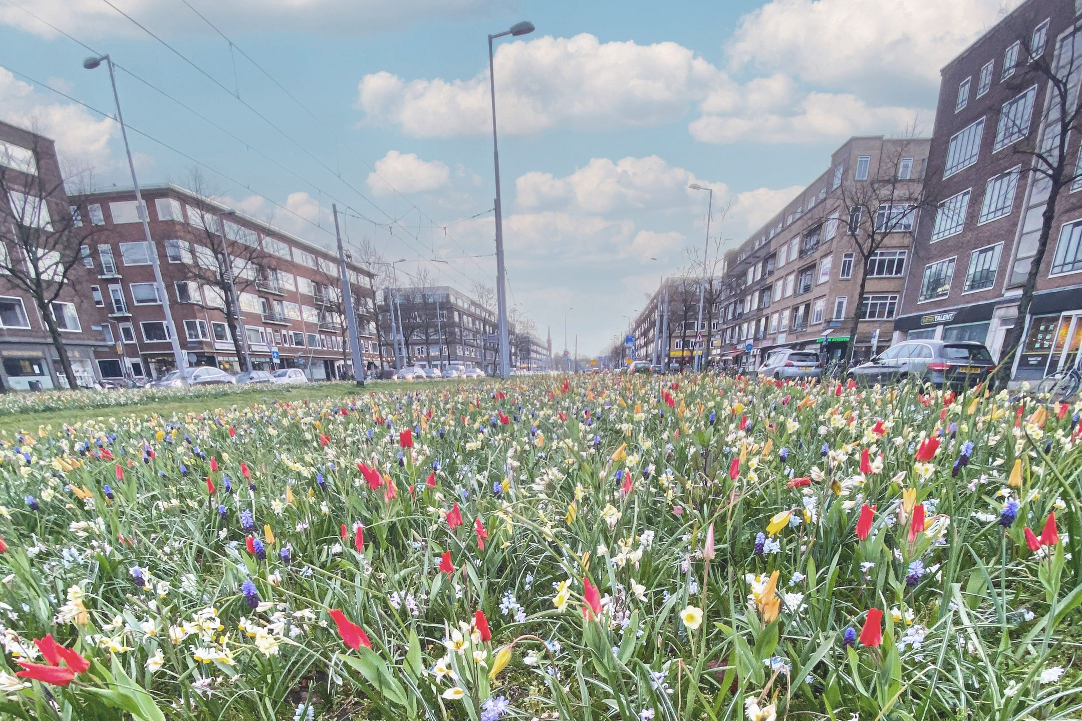 Foto 39 van Sonmansstraat 113-B02