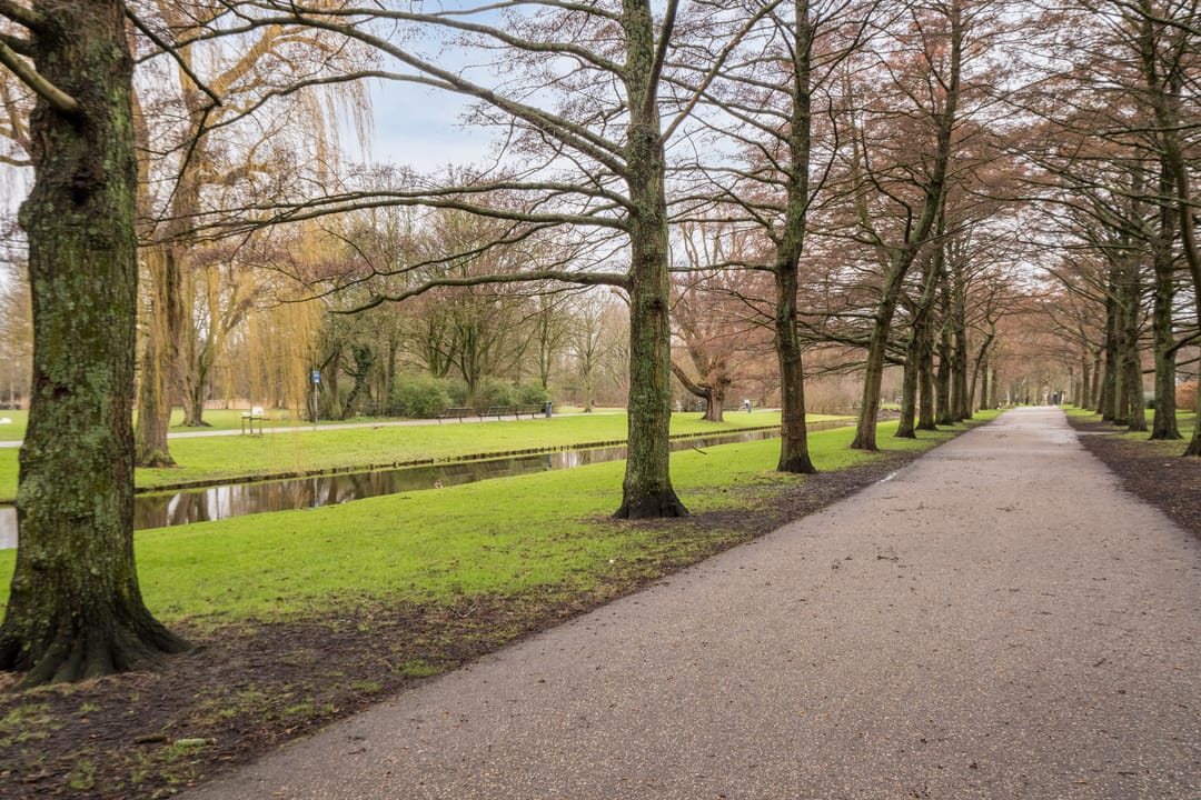 Foto 41 van Sonmansstraat 113-B02