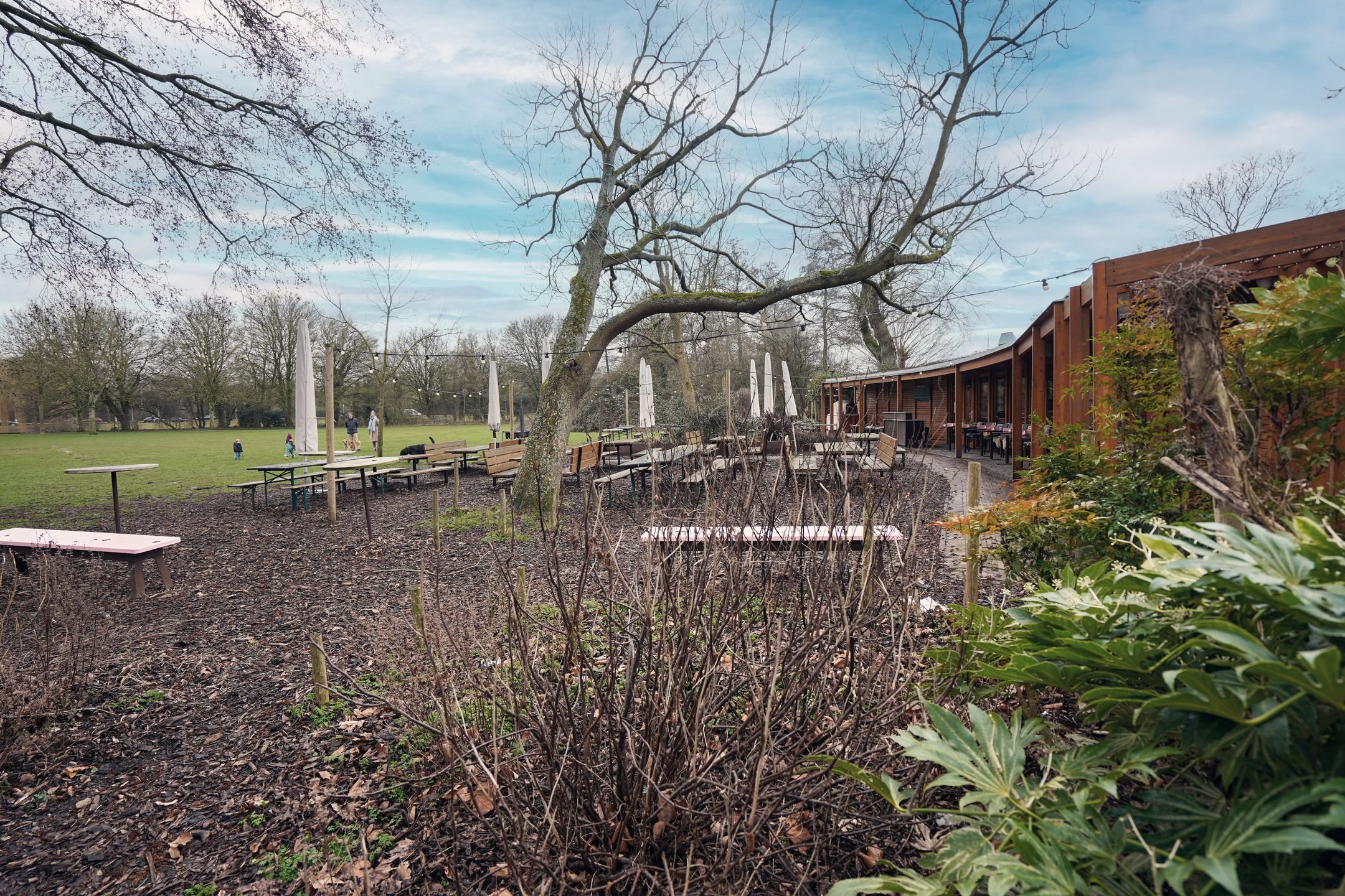 Foto 42 van Sonmansstraat 113-B02