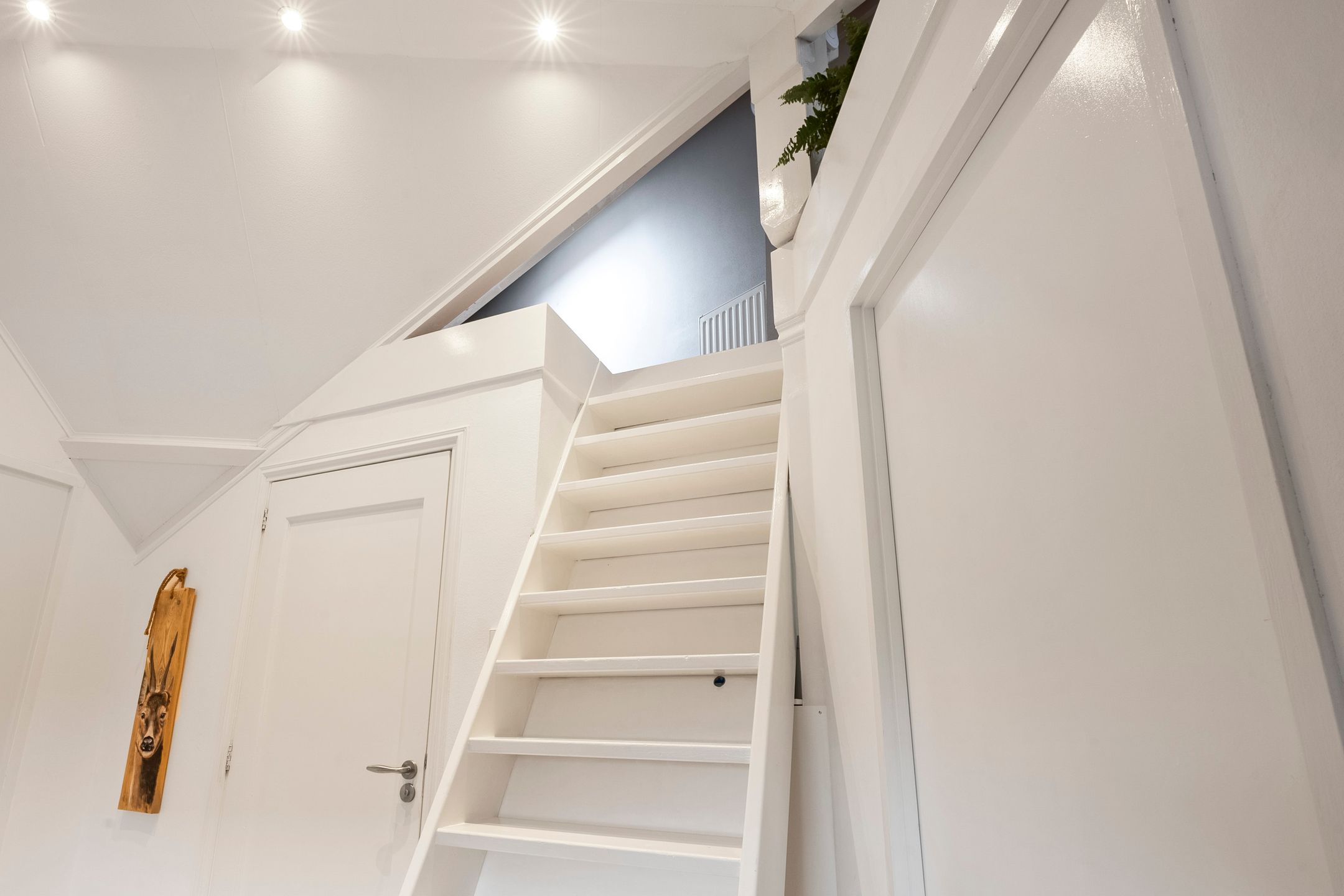 Foto 24 van Zinneveltlaan 2