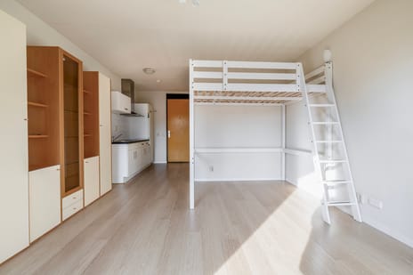 Ina Boudier-Bakkerlaan 24-D tertiary image