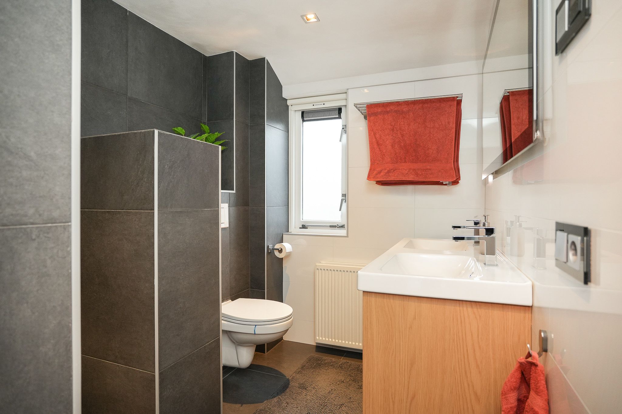 Photo 18 of Heufke 20