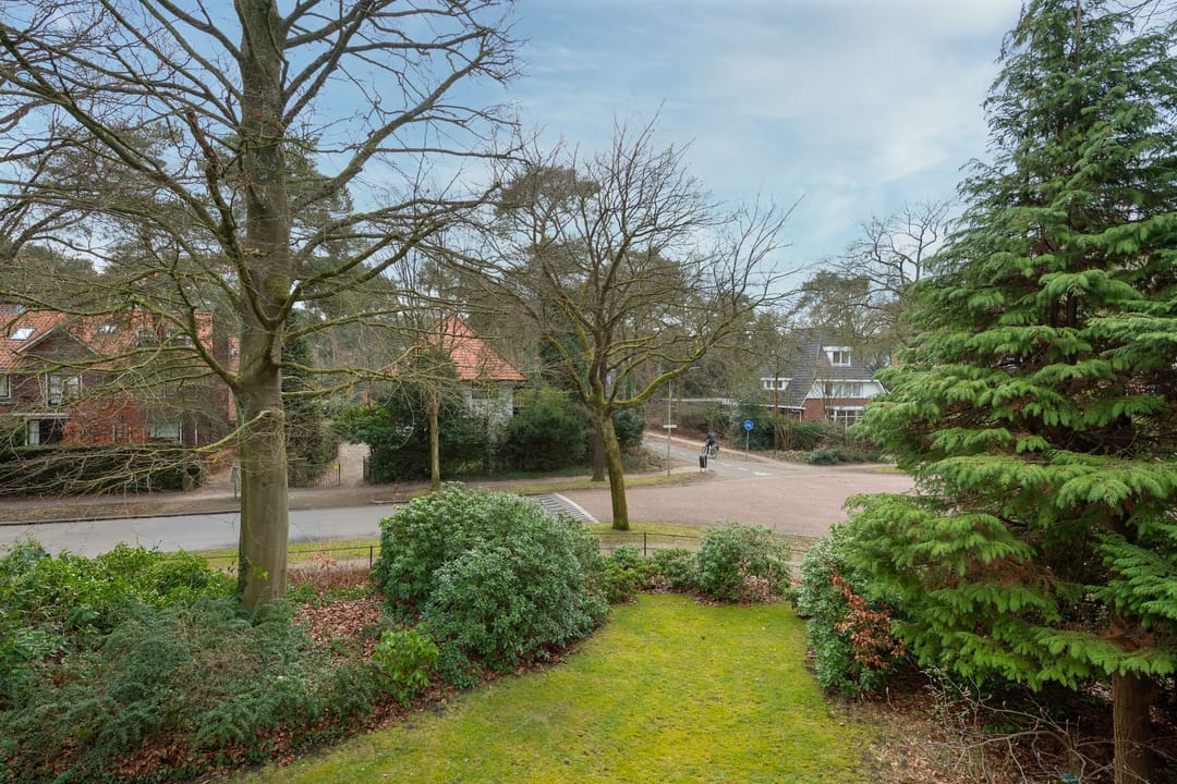 Photo 43 of Graaf Janlaan 51