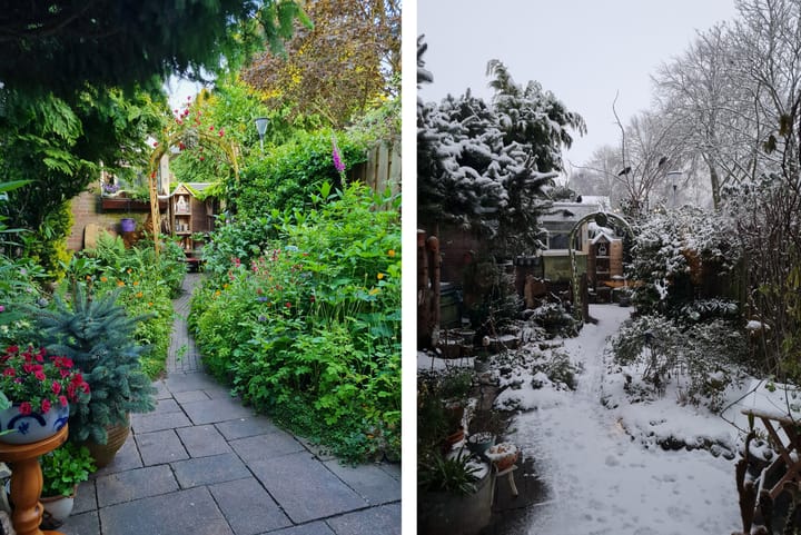 Foto 33 van De Wijzend 38