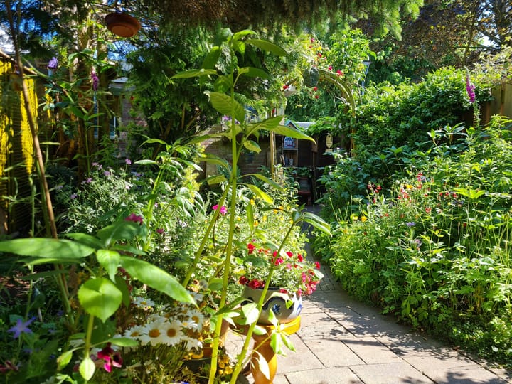 Foto 31 van De Wijzend 38