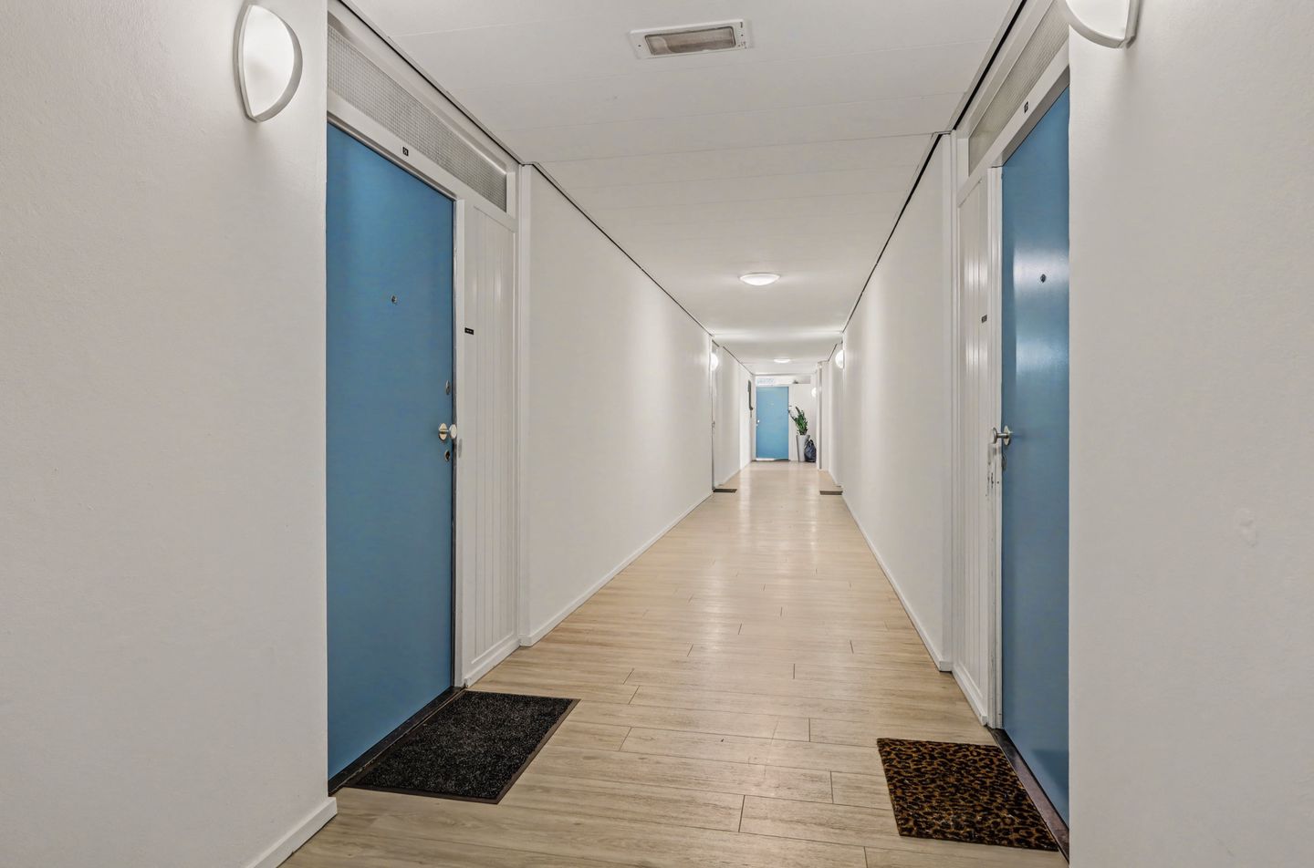 Foto 25 van Sweelinckplein 58