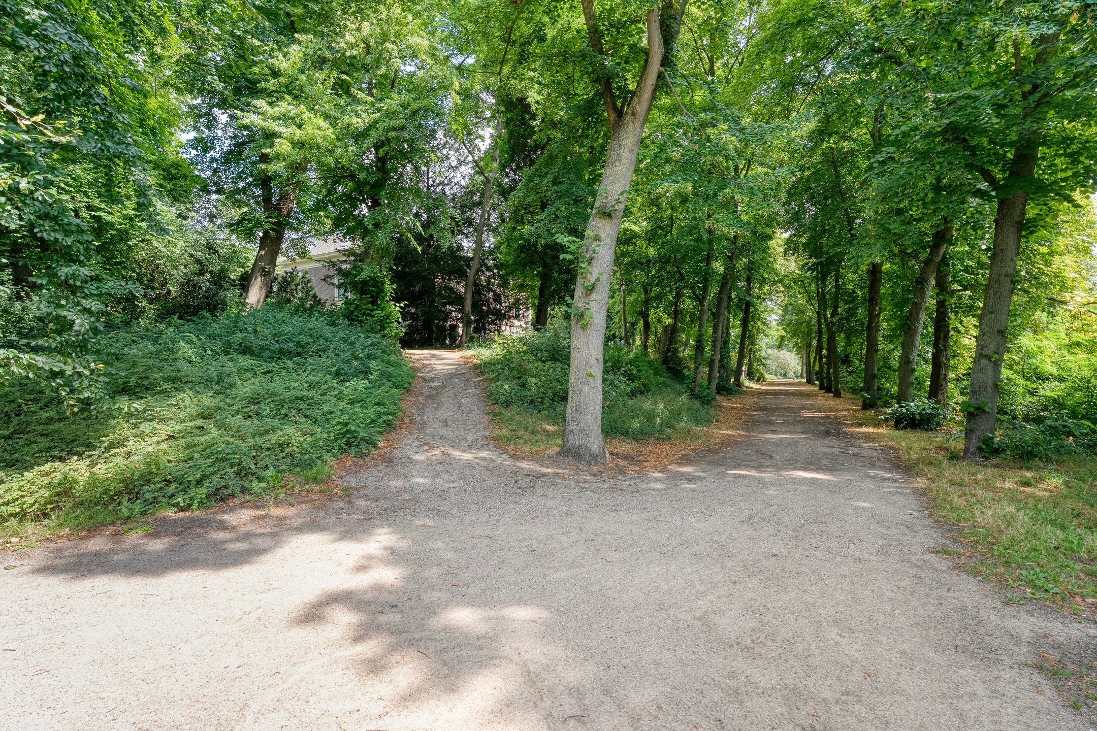 Foto 60 van Potgietersingel 6