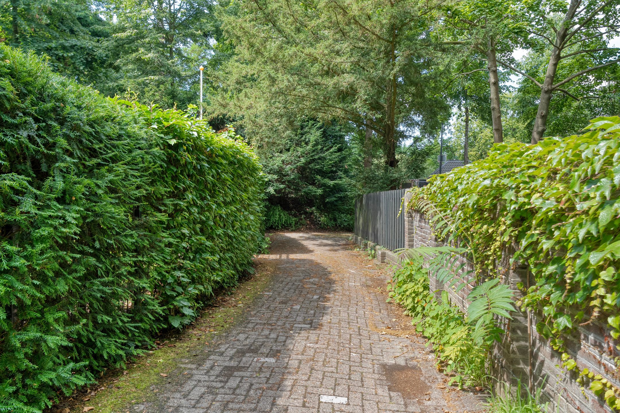 Foto 57 van Potgietersingel 6