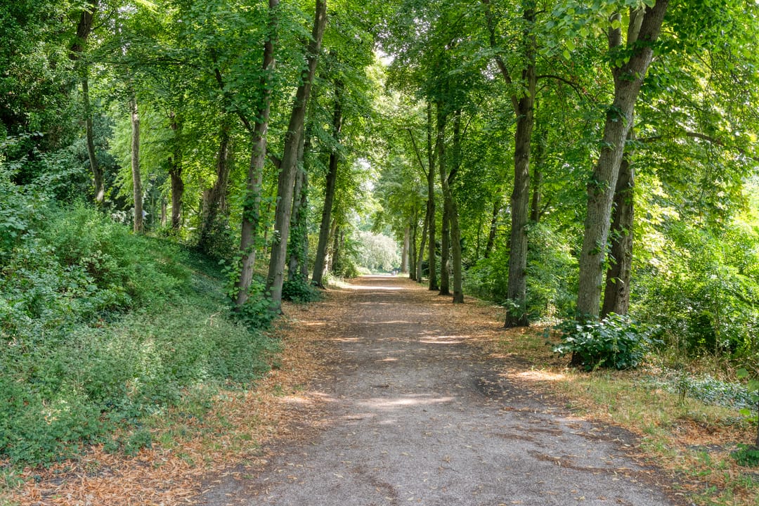 Foto 62 van Potgietersingel 6