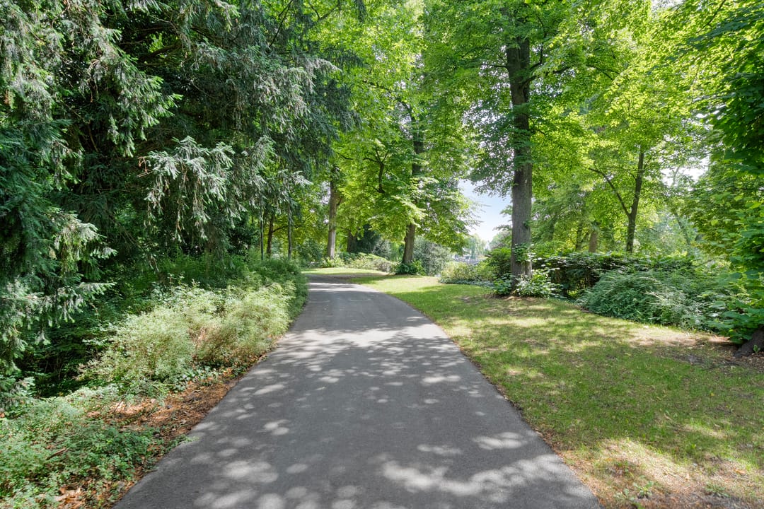 Foto 61 van Potgietersingel 6