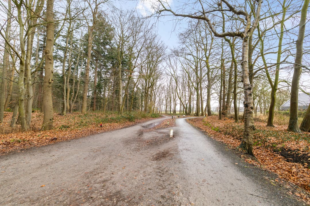 Foto 7 van Leemdobbe 11