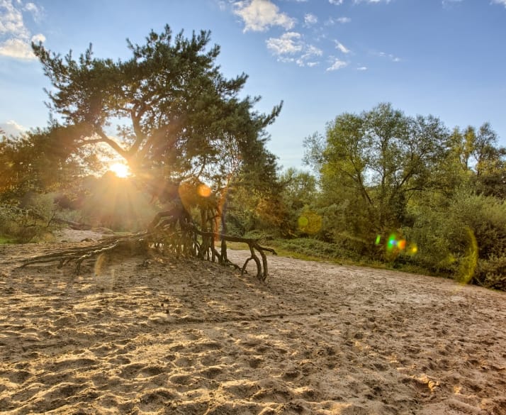 Photo 22 of Pastoor Geerdinkstraat 6-24