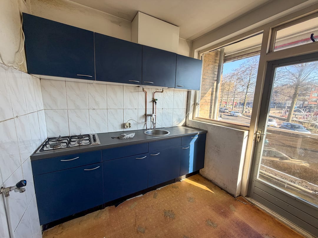 Photo 13 of van Markenplantsoen 156