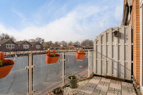 Aardappelakker 38 secondary image