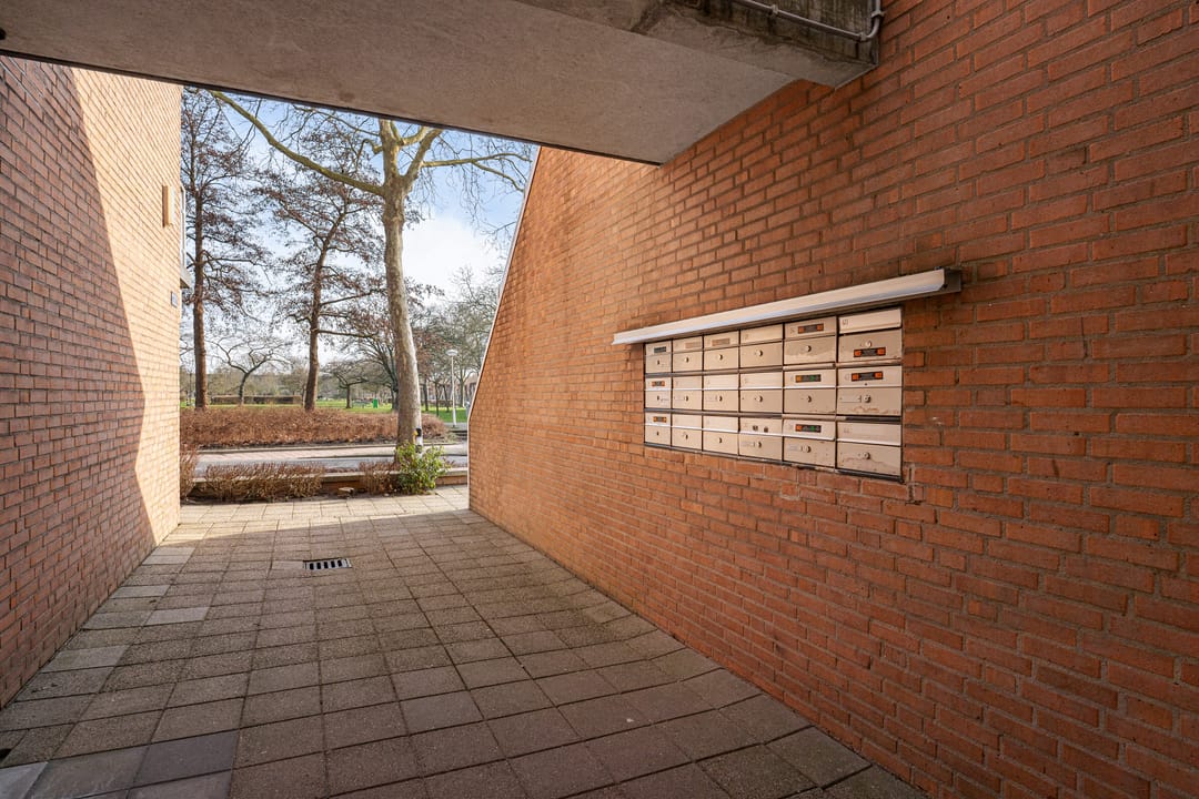 Foto 7 van Aardappelakker 38