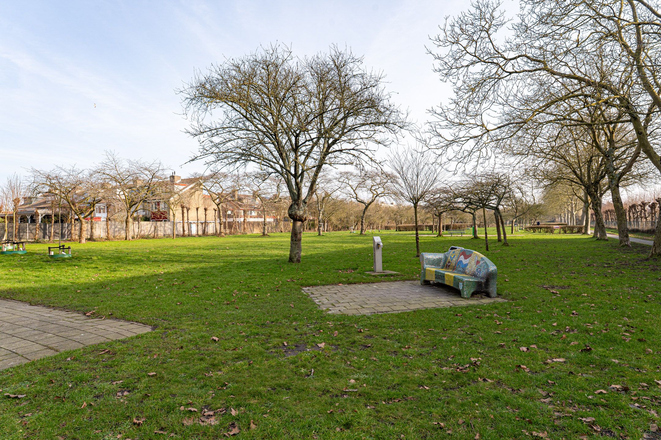 Foto 33 van Aardappelakker 38