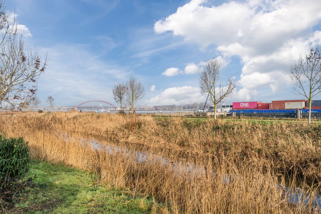 Foto 46 van Faas Wilkesstraat 333