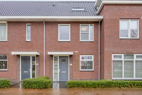 undefined main image