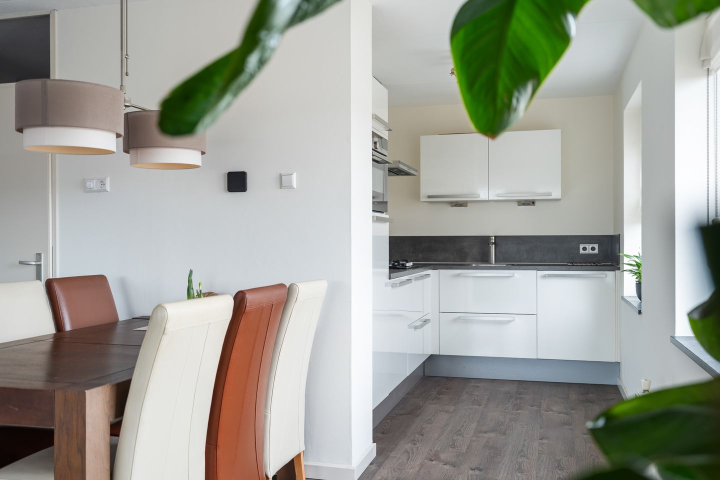 Foto 10 van Vrouwenrecht 19