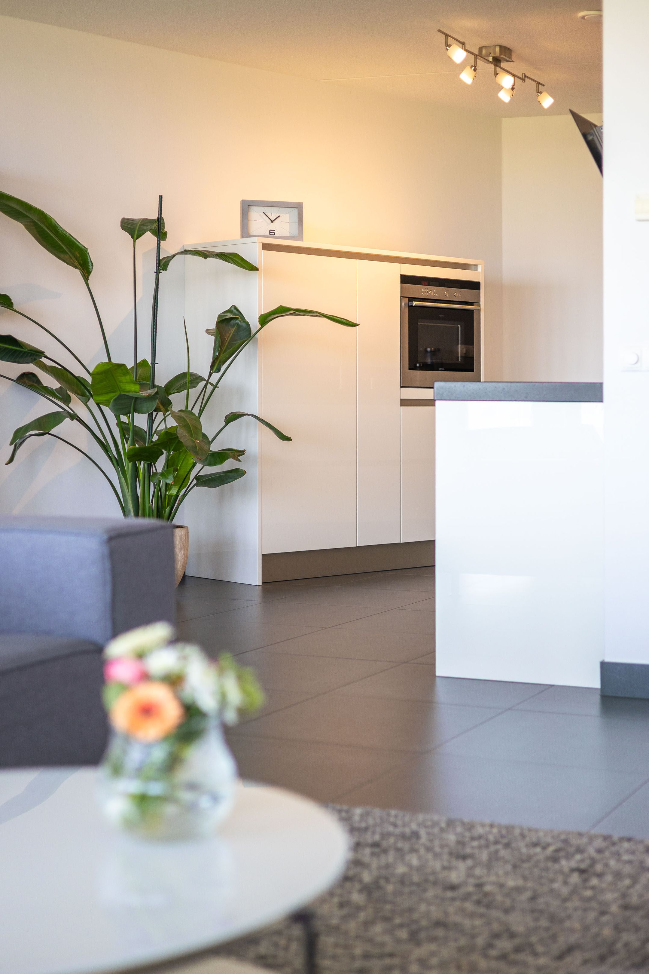 Foto 24 van Kaapstander 244