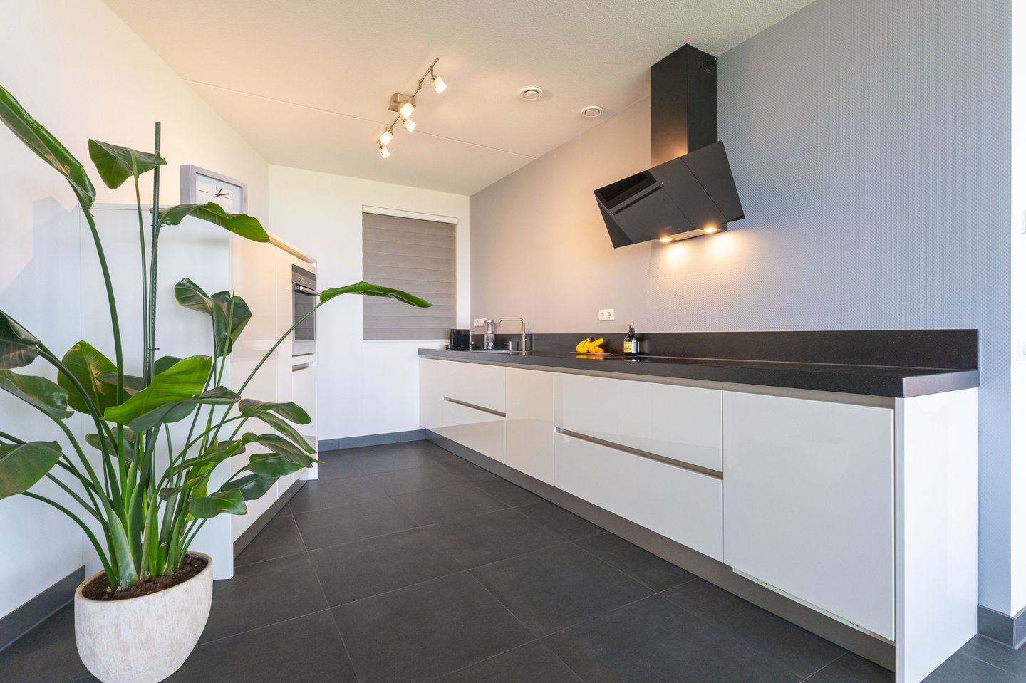 Foto 20 van Kaapstander 244