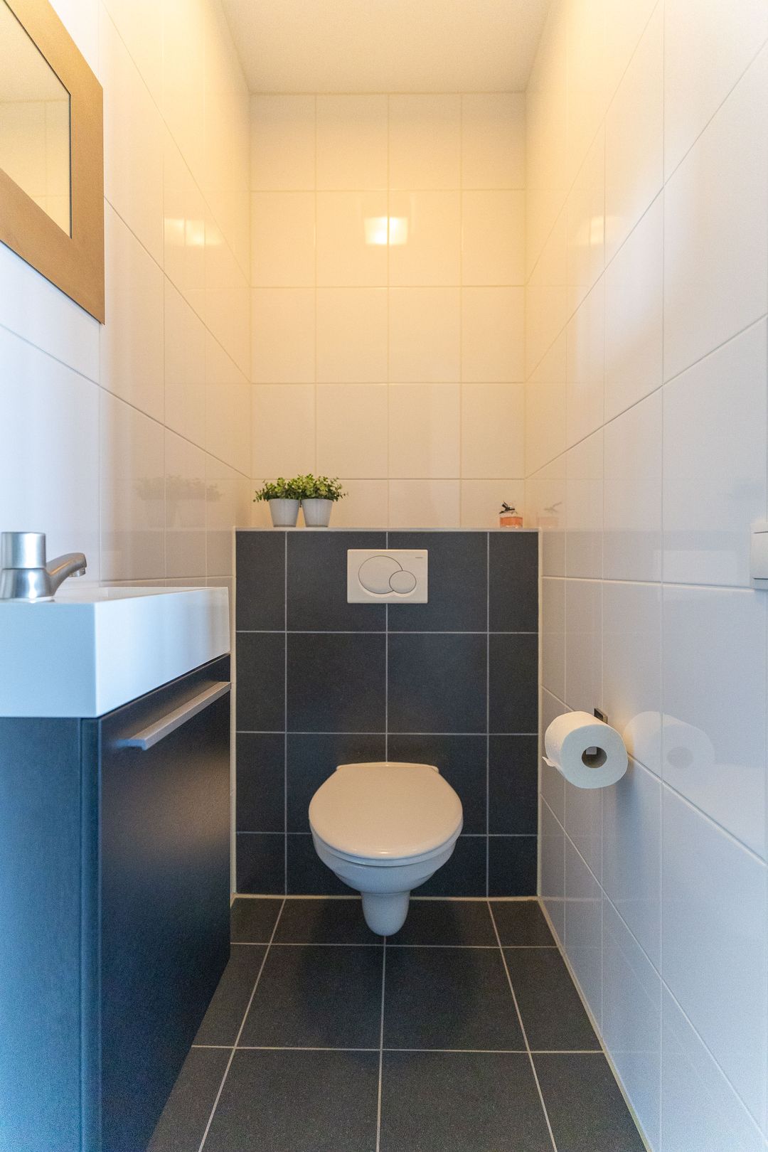 Foto 38 van Kaapstander 244