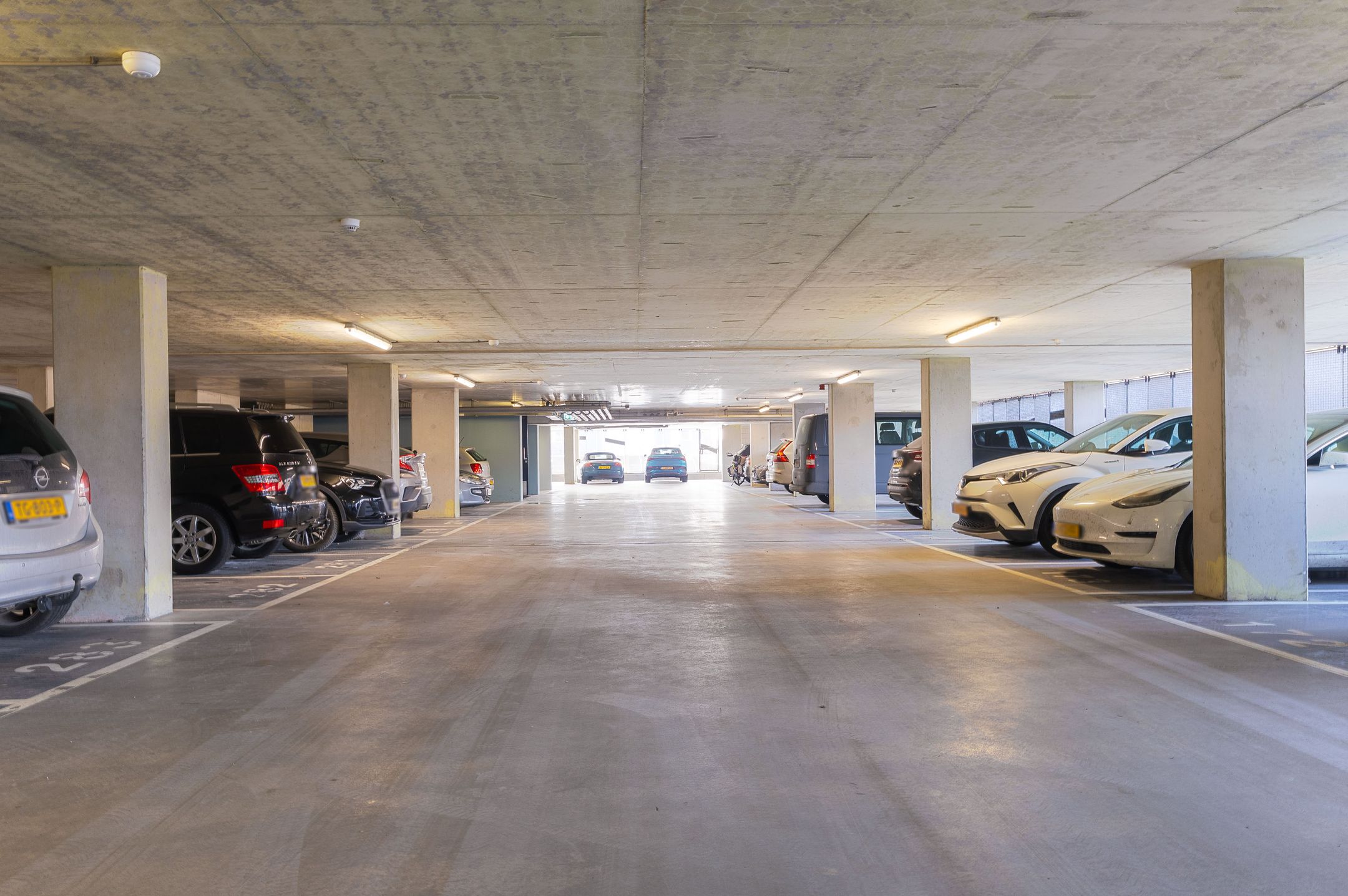 Foto 54 van Kaapstander 244