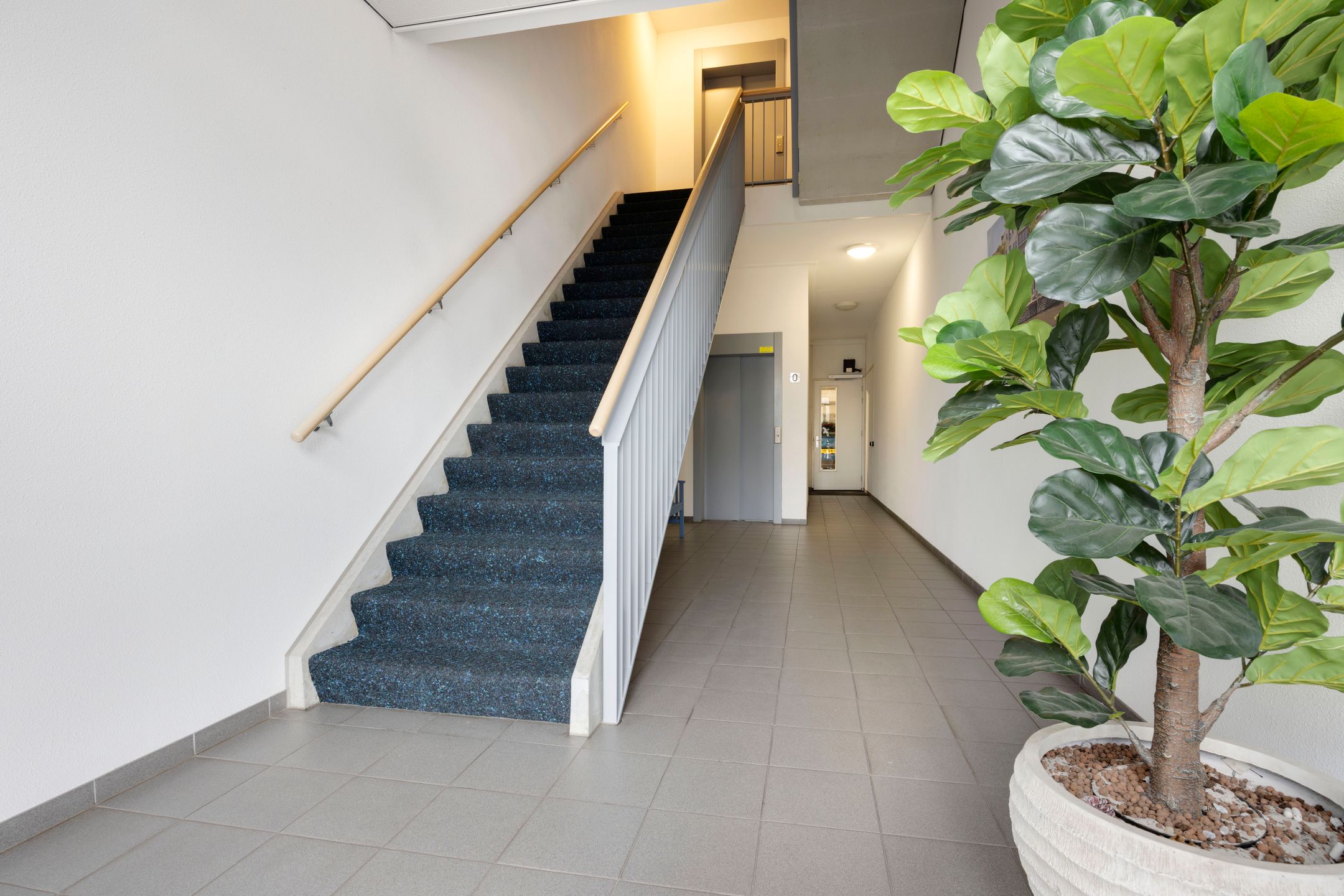 Foto 33 van Haven 36-B