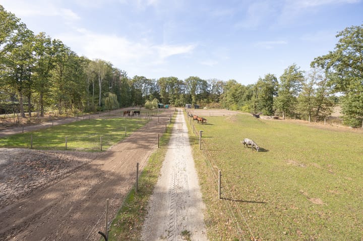 Foto 3 van Hogestraat 3