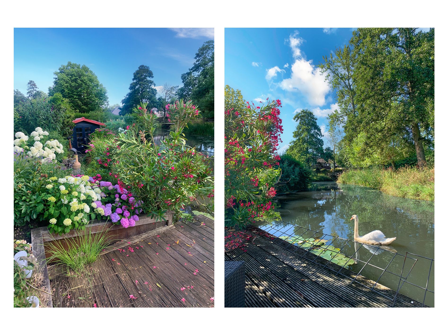 Foto 27 van Fazantenkamp 963