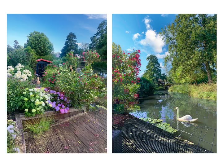 Foto 27 van Fazantenkamp 963