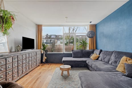 Nijenheim 6241 tertiary image