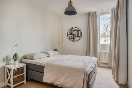 Braak 70 tertiary image