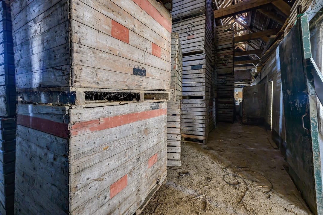 Photo 86 of Oudelandsedijk 11