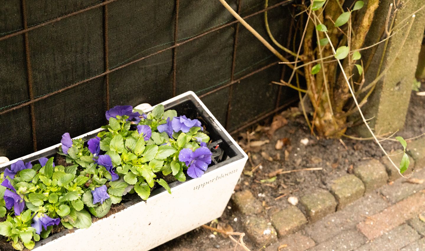 Photo 34 of Van Eeghenlaan 17-H